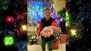 Nomad&rsquo;s Pulse - 2026 Happy New Year