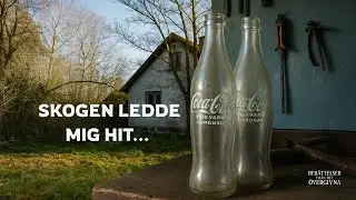 Skogen ledde mig hit&hellip; och tystnaden ber&auml;ttade allt
