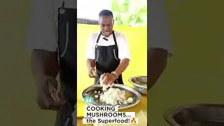 TEENS EASTER EXPERIENCE AT AMAZING IBOM MUSHROOM FARM @mushroommillionaires