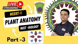 Plant Anatomy L-3  NEET- NCERT - Biology #neetbiology #neetncert #Biologyforneet