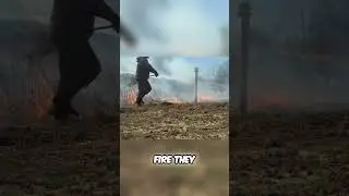 How Controlled Burns Transform Prairie Ecosystems
