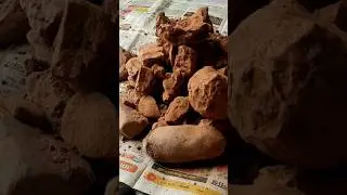 #asmrvideo Part 1 #viralvideo#shorts  #diy #gardening #plants #sand #satisfying #mukbang #chat