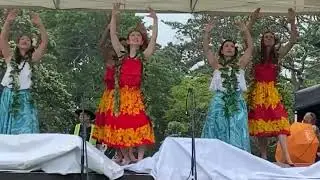 Rose Festival Maile Lei For Your Hair