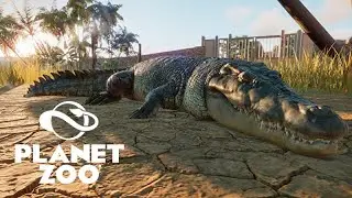A SUPER SAVANA - O Crocodilo Gustave quer caçar os Flamingos  - Planet Zoo