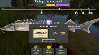 НОВЫЕ ФАРМЫ СЕРЕБРА и РАЗДАЧИ ТРОФЕЕВ! СВОДКА по ВОДОЁМАМ на 03.02 в Русской Рыбалке 4! РР4