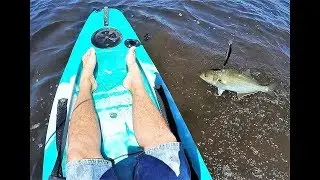 Finn Gizmo Kayak Owners Reveiw - with Tailor Fishing Action!