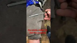 Oil Level Hard To Read on DipStick? #automobile #mechanic #engineoilbusiness