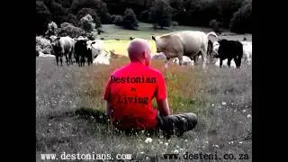 The Design of Intention