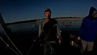 The Blue Cat Bite has Slowed down Dramatically at Smithland Dam