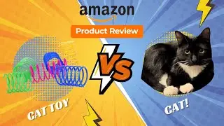 Cat Spring Toys