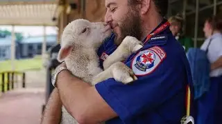 100 Special moments animals say 