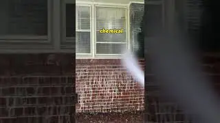 softwash brick wall #pressurewashing #shorts