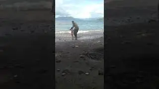Pantai Pasir Panjang Desa Batu kec.Pantar Timur. Bakalang(1)