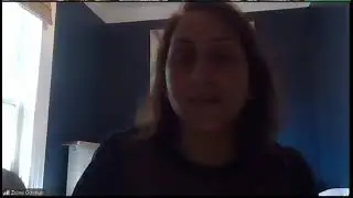 Zeina Othman vs Councillor Laura Ip at Niagara Regional Council 240627