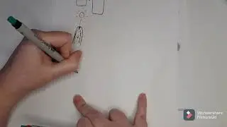 IGCSE Biology - plant hormones