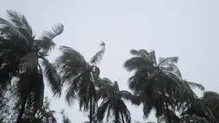 Nivar Cyclone Live Video