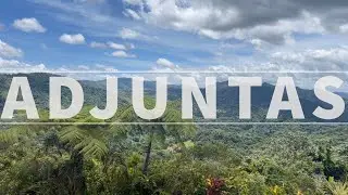 Coffee Farm | Adjuntas, Puerto Rico