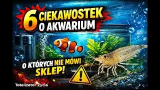 6 rzeczy o akwarium, o których nie mówi żaden sklep zoologiczny