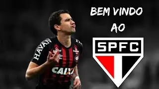 Pablo ● Bem Vindo ao S&atilde;o Paulo ● Skills & Goals ● 2019