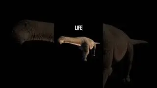 check out the full video today!!!!! #dinosaur#jurassicworldevolution2 #gaming#jurassicworldevolution