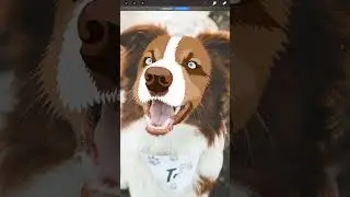 From Photo To Timeless Art #digitalart #art #illustration #procreate #artist #petportrait #shorts