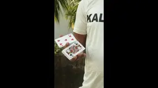 1 day vs 10 years of practicing cardistry