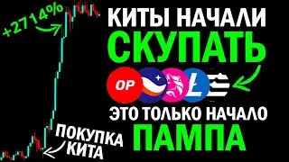 НАЧАЛО АЛЬТСЕЗОНА!!!? КИТЫ НАЧАЛИ ВЛИВАТЬ ЛИКВИДНОСТЬ В РЫНОК, БИТКОИН И АЛЬТКОИНЫ