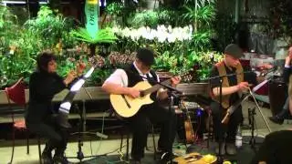 Scie musicale - 