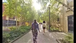 Walking through University of Toronto's St. George Campus