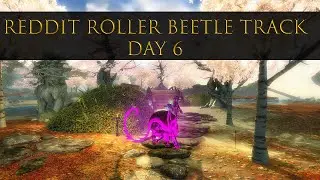 Reddit Roller Beetle Track - Day 6