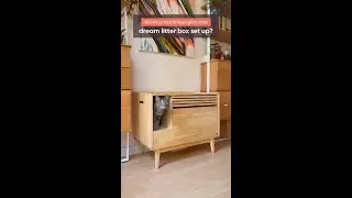 Midcentury Modern Litter Box??