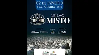 LEILÃO MISTO 02/01/2026 - TOP RIO LEILÕES - RIO PARANAÍBA-MG
