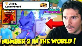 THIS PET GOT ME NUMBER 2 IN THE WORLD IN TAP SIMULATOR!!