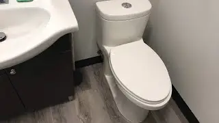 2020 WaterRidge Dual Flush Toilet