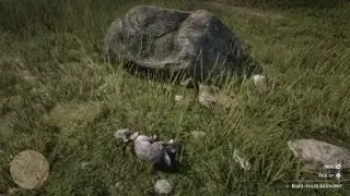 Red Dead Redemption 2 - Kill 2 birds with 1 stone