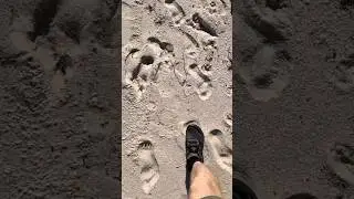 Hiking Hack for Soft Sand Trails 🏖️ | Walk Smarter, Not Harder