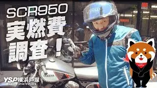 YAMAHA SCR950の実燃費調査！byYSP横浜戸塚