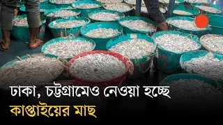 তিন মাস পর রাঙামাটির কাপ্তাইয়ে শুরু হলো মাছ ধরা | Kaptai Lake | News | Prothom Alo
