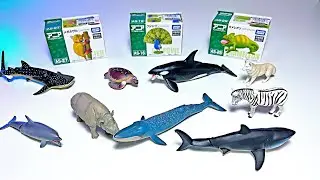 NEW ANIMALS - Peafowl, Tarsier, Chameleon, Shark, Orca, Turtle, Rhino, Lion, Manta Ray, Giraffe