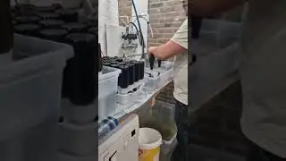 Experimenteel bier bottelen
