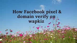 How to verify facebook pixel & domain for wapkiz.com - Digital marketing