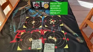 Pellet Test Gamo Pro Hunter vs Webley Veloci pell in 177 #weihrauch HW100 #2025 #airrifleshooting
