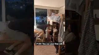 POV: You Just Gained Free Will