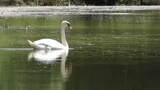 River sounds 