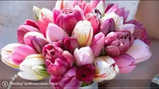 Benefits of a Spring Wedding | Perfect Wedding