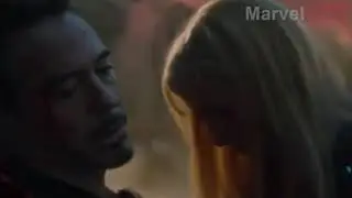 R.I.P.  TONY STARK