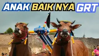 🛑  AMUNISI  GRT  YANG PALING  TERSULIT  DI ATUR  LOSSS TABRAKKKKK GUBRAK