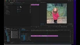 Premiere Pro: Using Effect Controls to Zoom and Move in the frame