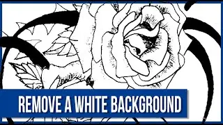 How To Remove A White Background Or Make It Transparent In Photoshop 2020