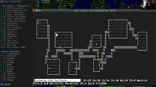 Part 2: Nethack 3.6.6 @ alt.org Human Monk ascension run.